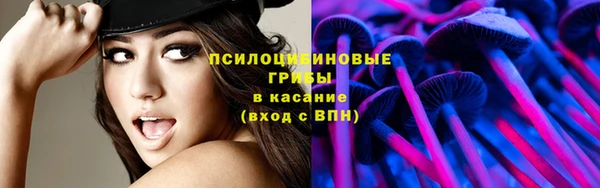 индика Тутаев