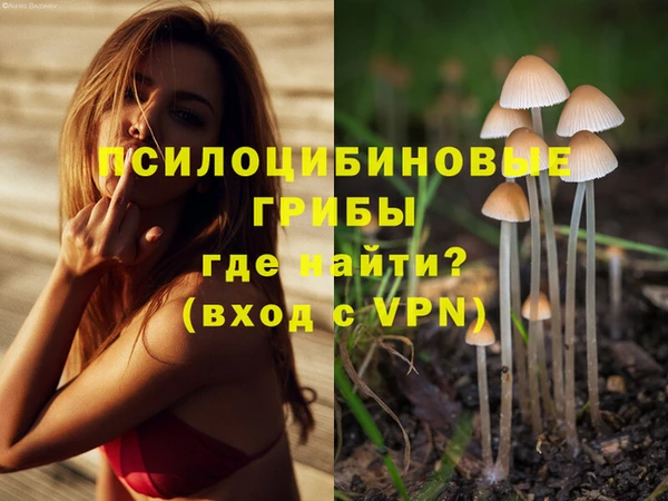 ALPHA PVP Верхний Тагил