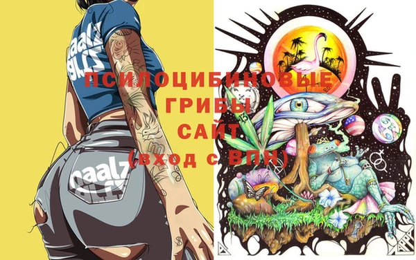 индика Тутаев