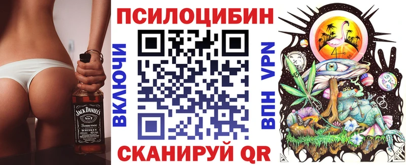 дарнет шоп  Кизел  hydra ONION  Псилоцибиновые грибы прущие грибы 